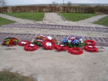Image2