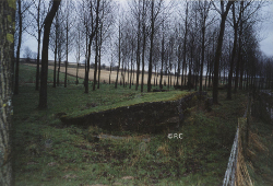 Groupe de blockhaus allemands