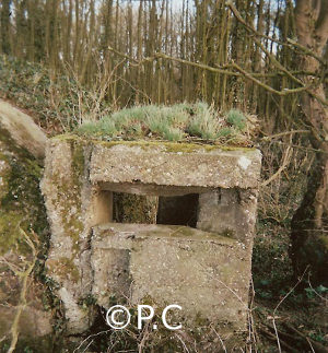 Poste observation individuel