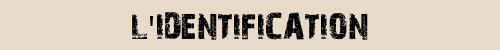L'identification: